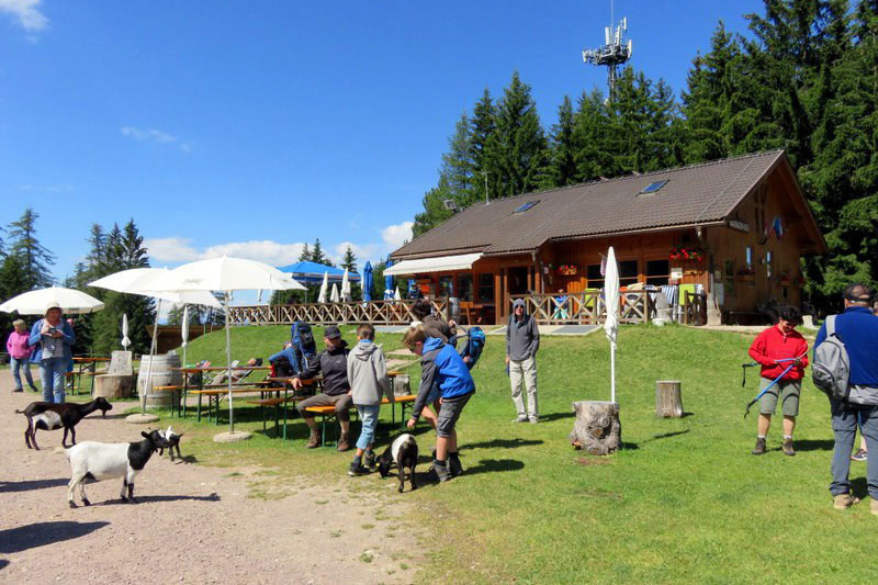 Restaurant Marinzen hut